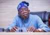 72 Tinubu Appointees in River Basin Lack Appointment Letters 72-tinubu-appointees-in-river-basin-lack-appointment-letters