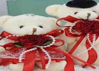 Teen sentenced to life for schoolgirl’s teddy bear murder teen-sentenced-to-life-for-schoolgirls-teddy-bear-murder