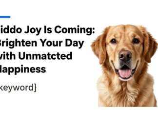 Fido Joy Is Coming: Brighten Your Day with Unmatched Happiness