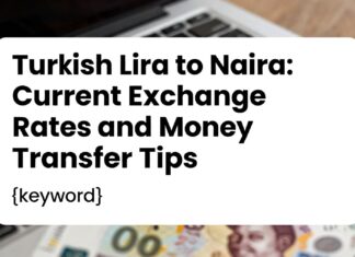 Turkish Lira to Naira: Current Exchange Rates and Money Transfer Tips